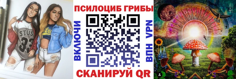mega зеркало  Сенгилей  Галлюциногенные грибы мицелий  где можно купить наркотик 